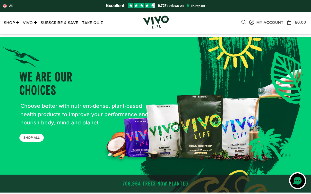 Screenshot of the Vivo Life homepage
